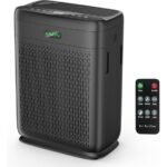 home air purifier review