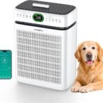home air purifier review