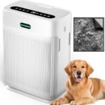 home air purifier reviews