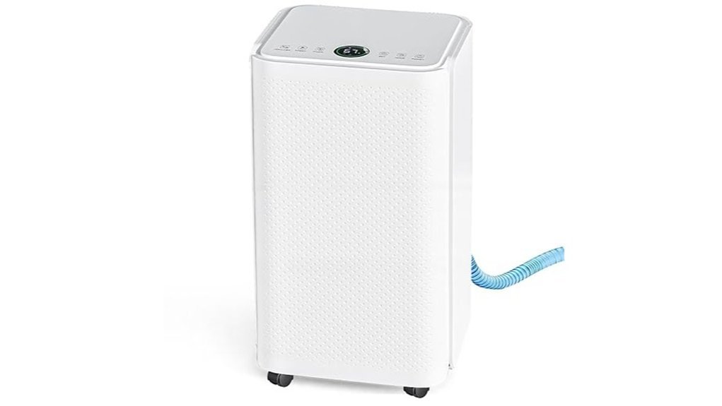 home and basement dehumidifier