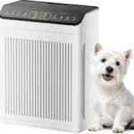 home fresh air solution