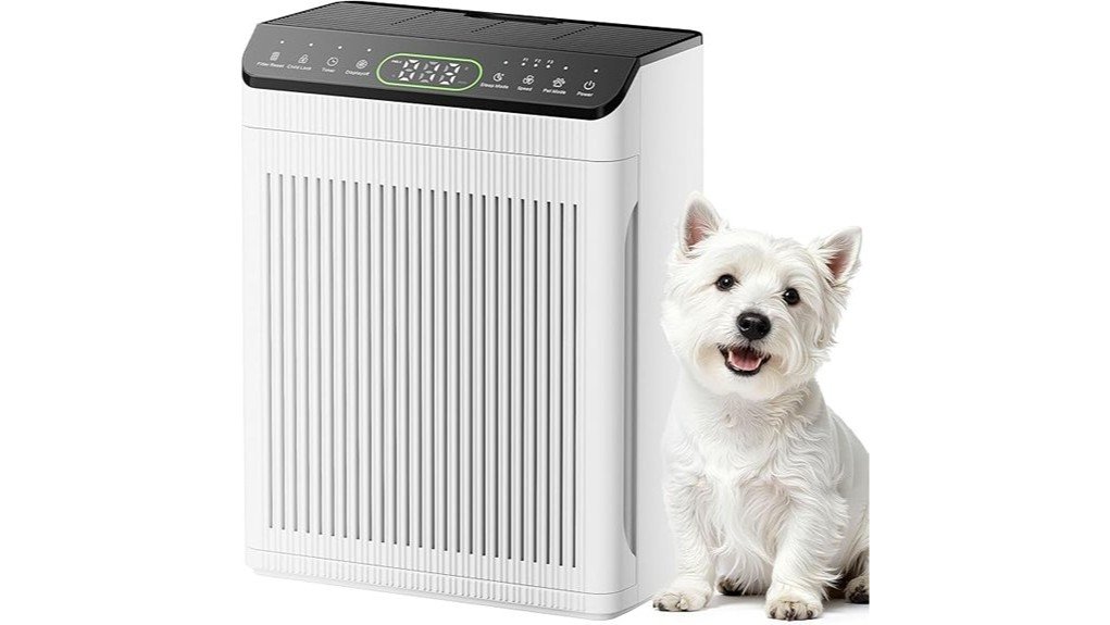 home fresh air solution
