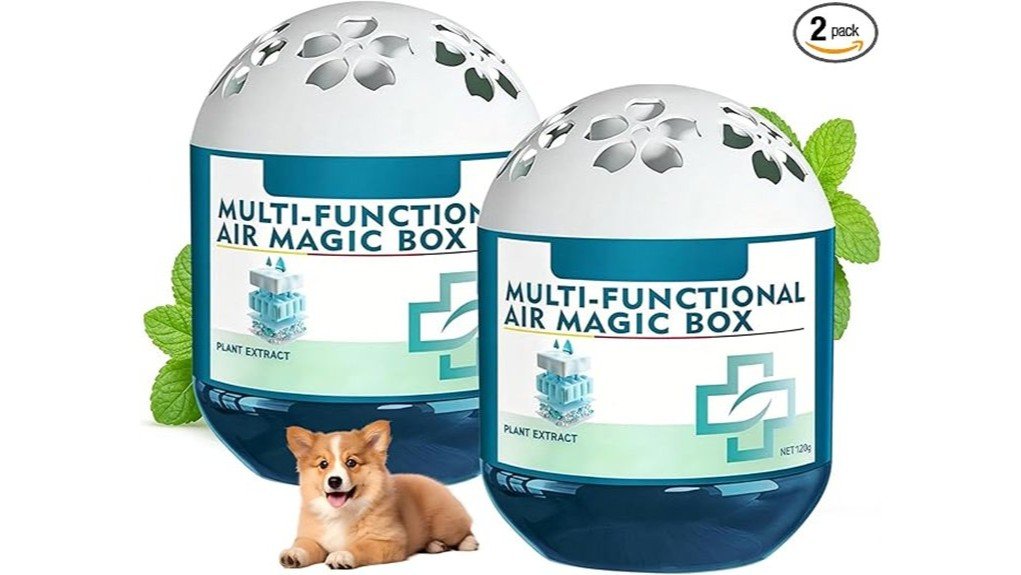 indoor air purification review