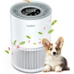 lunino h13 air purification