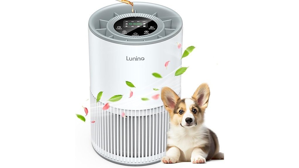 lunino h13 air purification