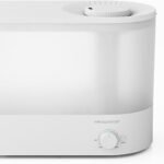megawise 2025 humidifier review