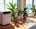 mold prevention dehumidifiers california