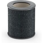 molekule mini air filter