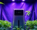 optimal dehumidifiers for growers