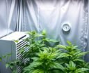optimize humidity for growth