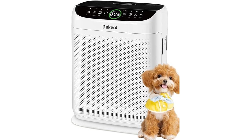 pakeoi hepa air purifier