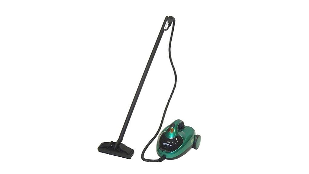 powerful steam cleaning device