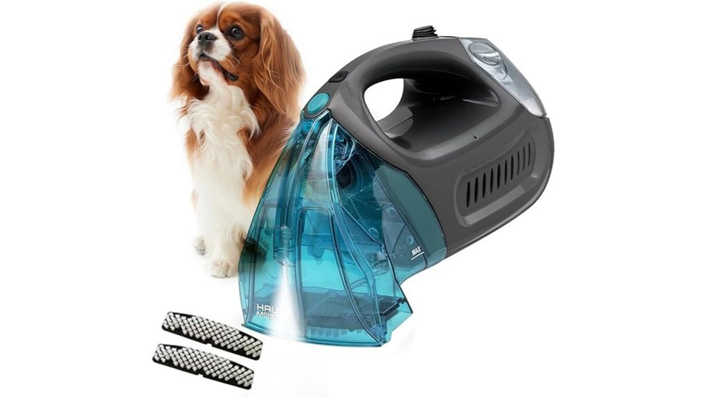 professional carpet cleaning solution