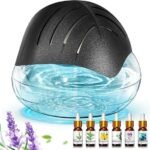 purify and refresh air