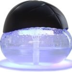 purifying and revitalizing air