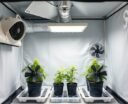 reduce moisture naturally indoors