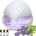 revitalizing clean air experience