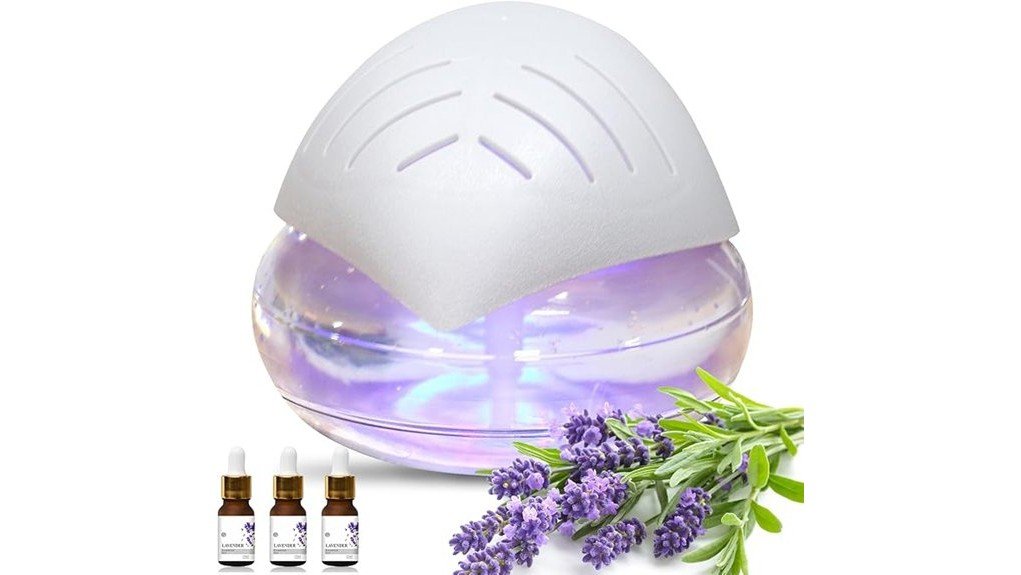 revitalizing clean air experience