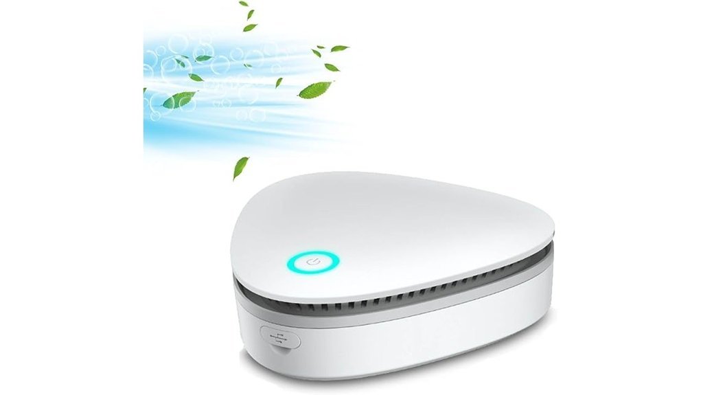 smoke odor elimination device