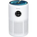 tailulu hepa air purifier