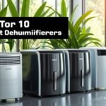 top 2026 dehumidifiers