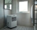 top bathroom dehumidifiers 2026