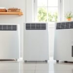 top budget dehumidifiers 2026