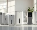 top dehumidifiers and purifiers