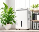 top dehumidifiers for 2026