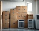 top dehumidifiers for 2026
