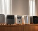 top dehumidifiers for 800 sqft