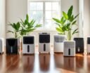 top dehumidifiers for 900 sq ft