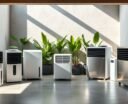 top dehumidifiers for basements