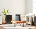 top dehumidifiers for comfort