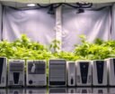 top dehumidifiers for grow tents