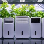 top dehumidifiers for grow tents
