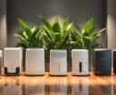 top dehumidifiers for mould