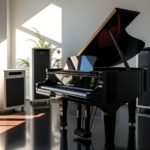 top dehumidifiers for pianos