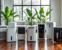 top dehumidifiers for wood