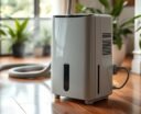 top dehumidifiers with pump