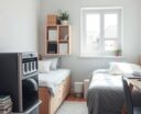 top dorm dehumidifier picks