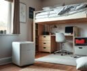 top dorm dehumidifiers 2026
