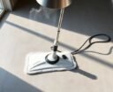 top steam mops 2026