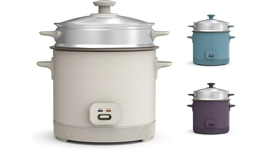 versatile and efficient cooker