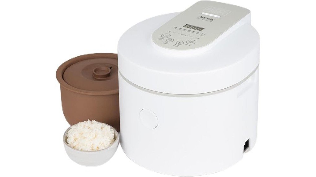 versatile and efficient cooker