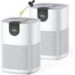 vewior air purifiers review