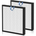 vital 100s filter evaluation