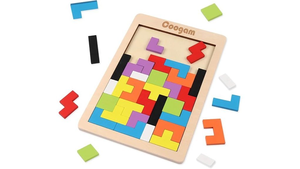brain teaser wooden puzzle