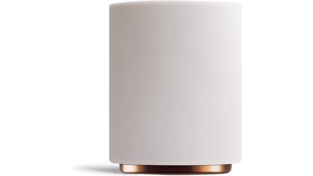 double wall latte cup