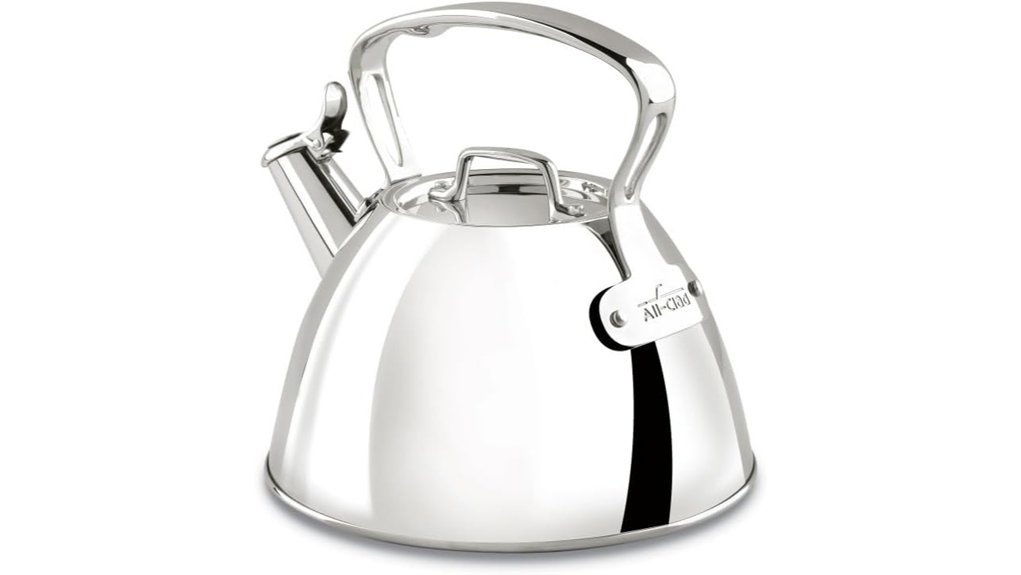 elegant stainless steel kettle